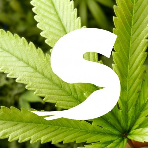 Screen Shot 2018-06-02 at 2.20.20 PM